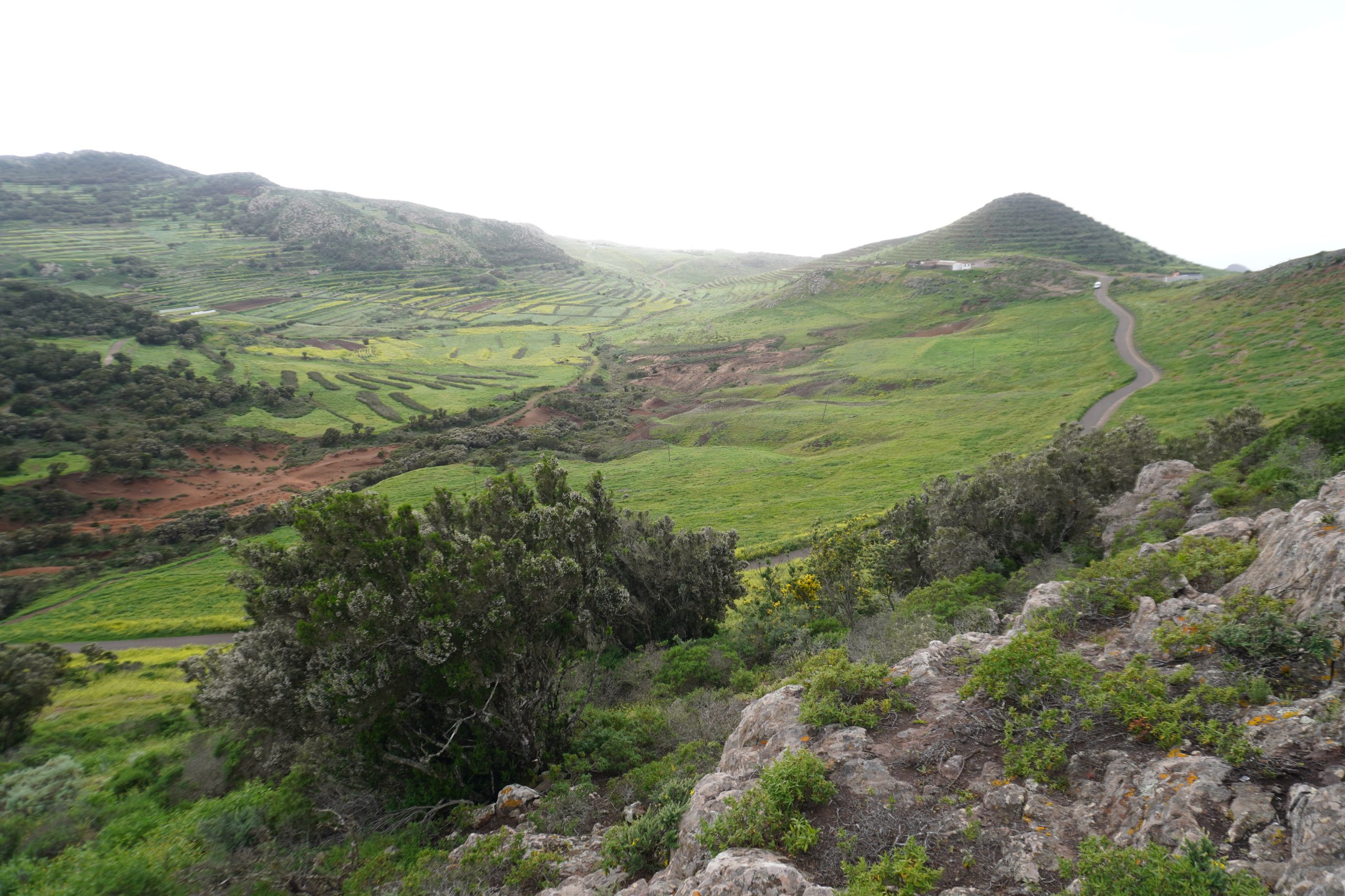 Parque Rural de Teno