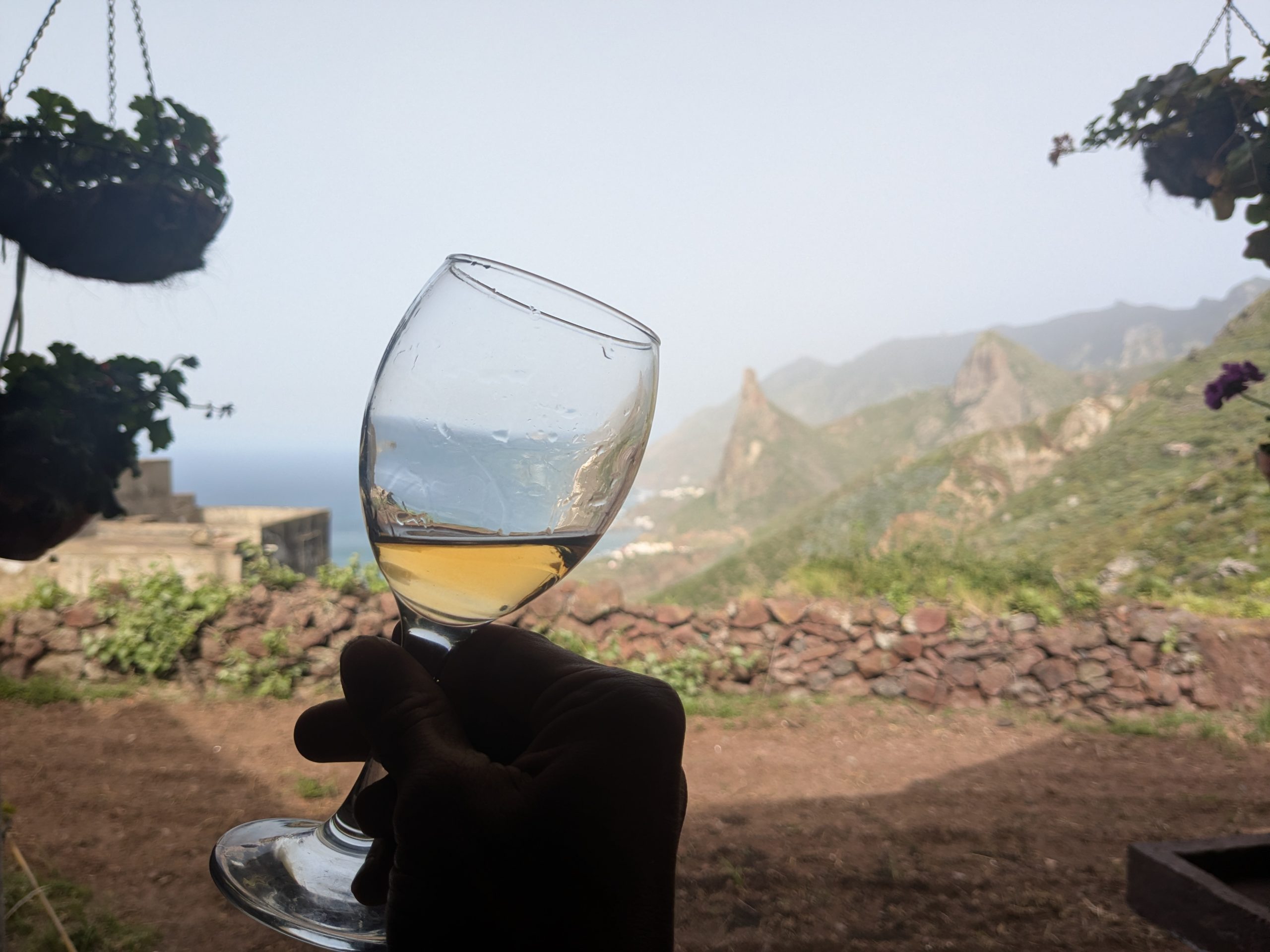 Le vin de volcan de Juan Carlos